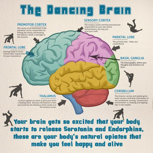 Dance and music alter the brain in opposite ways